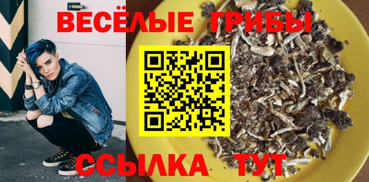 Галлюциногенные грибы Psilocybe Воскресенск